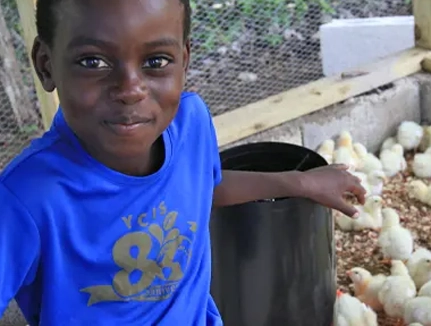 Chicks Recipient, Jamaica, 2017