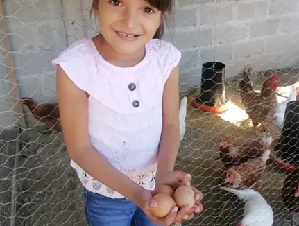 Chicks Donation Recipient, Homduras, 2022