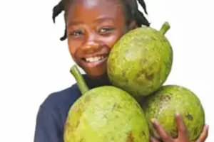 Un árbol frutal