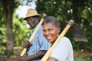 agricultural tools