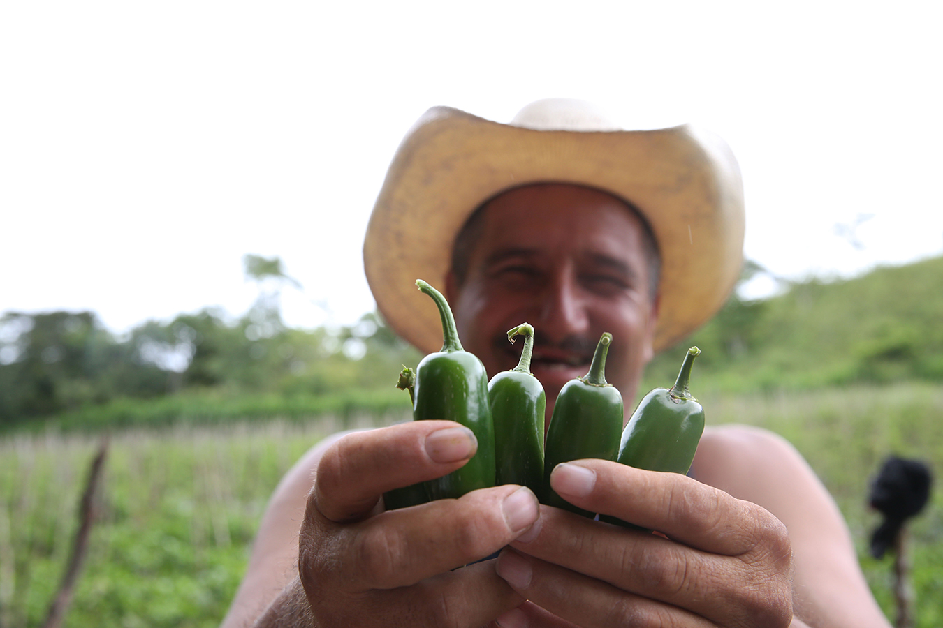 Behind the Scenes: Spicy Sustainability
