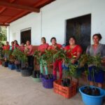 Building Lasting Change Through Integrated Community Transformation